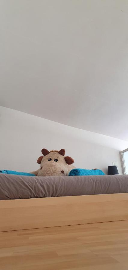 Joshroom Caux Екстериор снимка